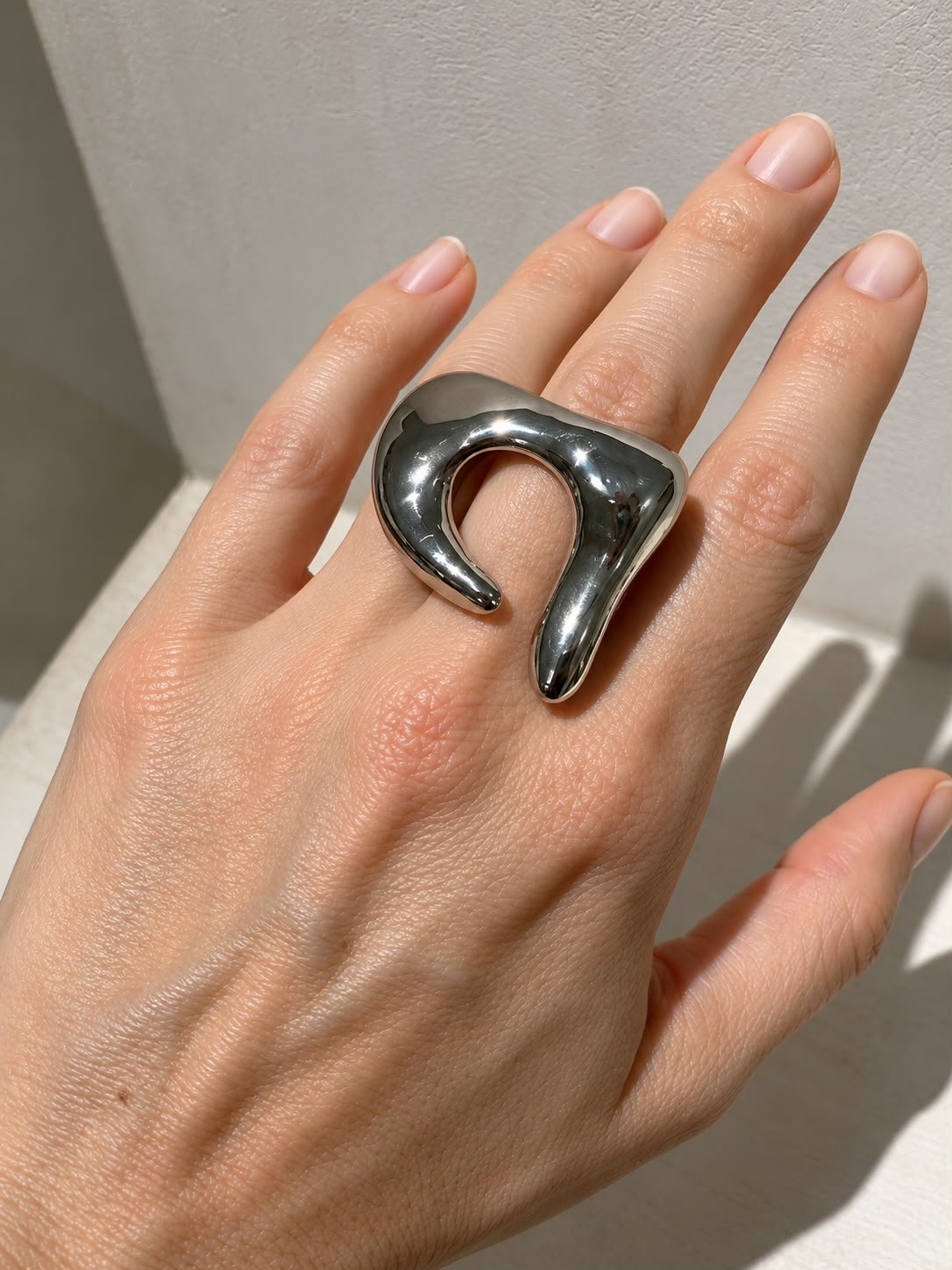 ANILLO DANA PLATEADO - Imagen 2